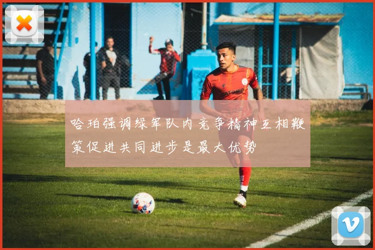 哈珀强调绿军队内竞争精神互相鞭策促进共同进步是最大优势