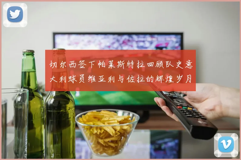切尔西签下帕莱斯特拉回顾队史意大利球员维亚利与佐拉的辉煌岁月